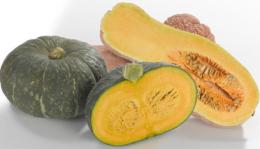 La stagione della zucca parte con i migliori auspici