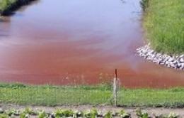 Il canale Scortico è pieno di rifiuti