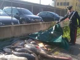 Pesca di frodo: per tre rumeni solo una denuncia