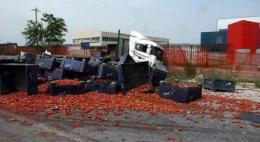Migliaia di pomodori in strada: camion perde il carico