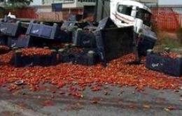 Camion perde il carico: migliaia di pomodori in strada 