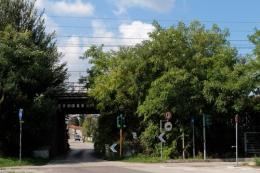 Un tunnel divorato dall’erbaccia