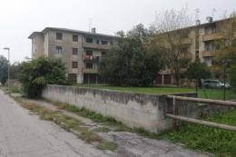Un intero quartiere divorato dall’erba alta