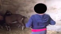 Bimbo bestemmia in dialetto e picchia gli animali: il video diventa virale