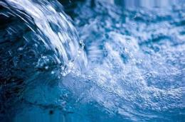 Tornano i progetti educativi di Acquevenete per le scuole