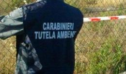 Il Noe stila il bilancio dei controlli sul litorale