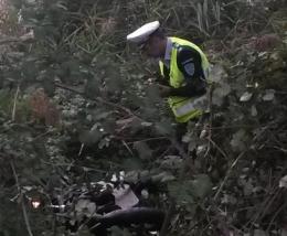 Centauro perde una gamba nell’incidente