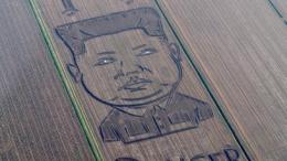 Un enorme ritratto di Kim compare su un campo nel veronese