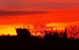 Il tramonto da Oscar nelle vostre foto, e chissà che stasera...