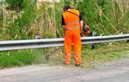 ‘Tirocini sociali’: un'opportunità di lavoro per chi è in difficoltà