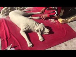 Artista crea un cane di sabbia da sembrare vivo