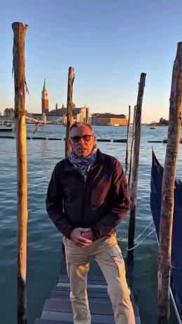 Delfino nella laguna: il Museo di Storia Naturale interviene