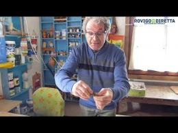 Il museo delle ocarine: una meraviglia del Delta