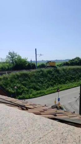 Piante abbattute, è polemica