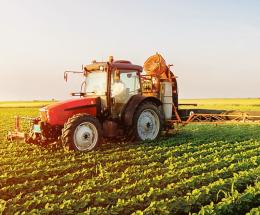 Prezzi assurdi, gli agricoltori annaspano