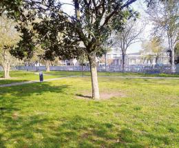 Il Comune manda una squadra a ripulire il parco