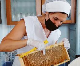 Le api di Ilaria danno vita alle "Olimpiapi"