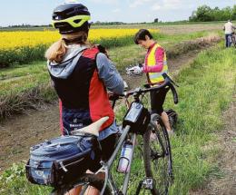 Servizio bike sharing,  bici per tutte le età