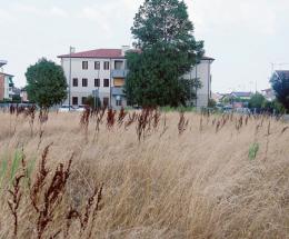 "Viviamo tra topi e zecche, intervenite"