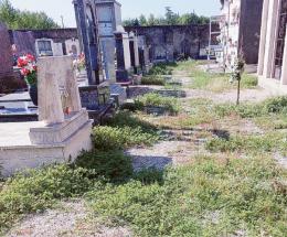 “Incuria al cimitero di Garofolo”