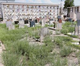 “Cimitero invaso da erbacce”