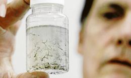 West Nile, c'è il primo caso neuroinvasivo