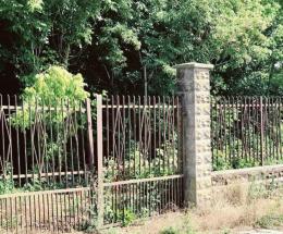 Una vera foresta nel Villaggio