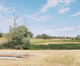 Campi bruciati, almeno 200 milioni di danni