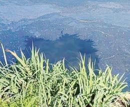 Chiazza nera nel canale, l'allarme del sindaco