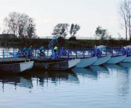 Il ponte di barche è finalmente pronto a riaprire