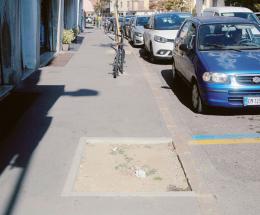 Clamoroso, si sono rubati persino gli alberi sul Corso