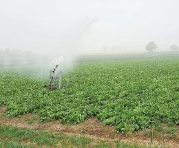 La siccità non è finita. Ed esplode il costo dei fertilizzanti