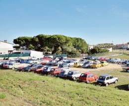 Miti a 4 ruote in giro per il Polesine