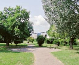 Verde, si rischia l’effetto jungla