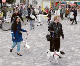 E' la grande festa dei nostri amici