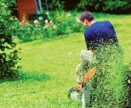 Raccolta del verde: cambia tutto