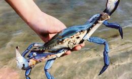 "Utilizzare anche i fondi Adriatic"