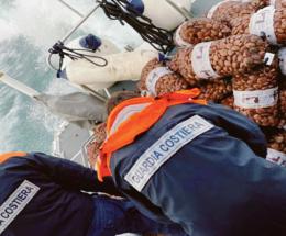 Maxi sequestro di vongole e fasolari