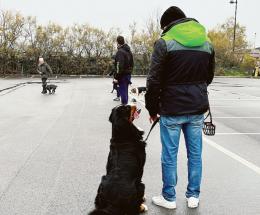 Ecco il patentino di "bravi padroni"