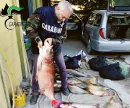 “Graziati” i predoni del Po