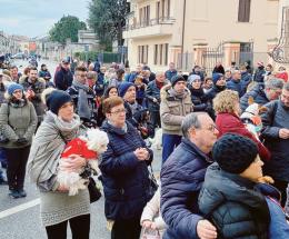 La benedizione degli animali