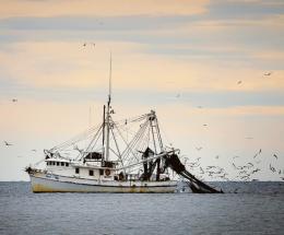 Il Tavolo delle Lagune è realtà
