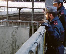 Caso Coimpo: arriva il risarcimento