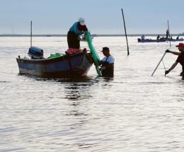 La pesca cerca persone da assumere