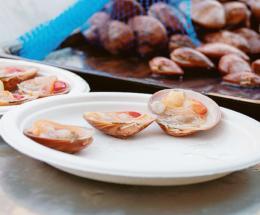 I Fasolari vanno alla conquista del Vinitaly