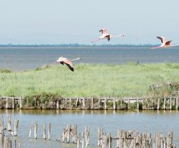 Pioggia di progetti dell’Ente Parco