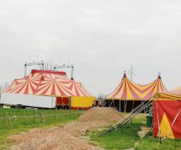 Torna il circo Busnelli e diventa parco all’aria aperta