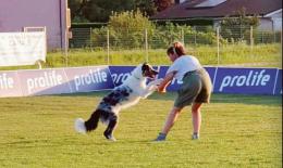 A Rottanova le gare cinofile 