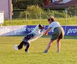Cane e uomo in gara, assieme