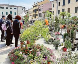 “Adria in fiore”, una sinfonia 